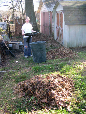 Raking leaves