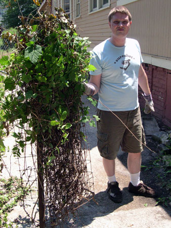 Removed garden fence Removed garden fence