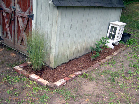 Shed foundation planting Shed foundation planting