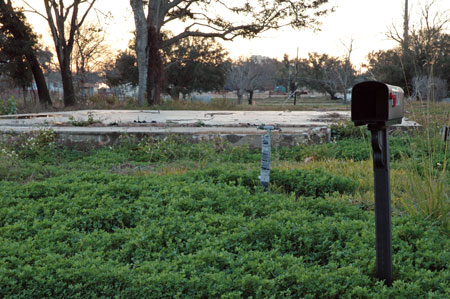 Katrina aftermath