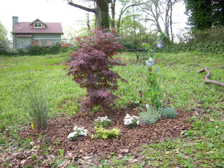 Flower bed