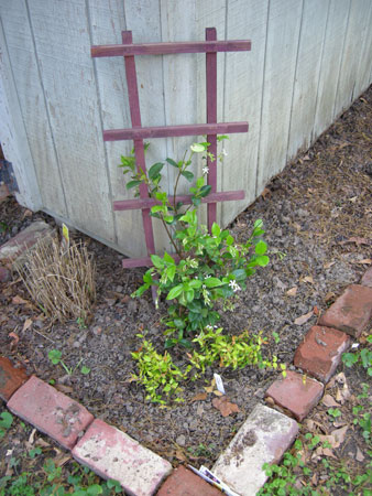 Flower bed