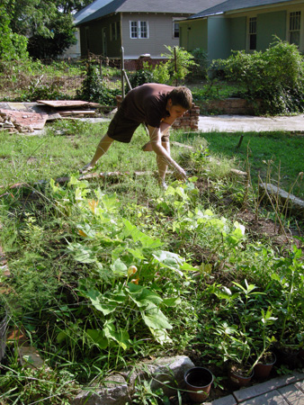 Vegetable bed