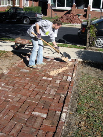 Front path brick and sand