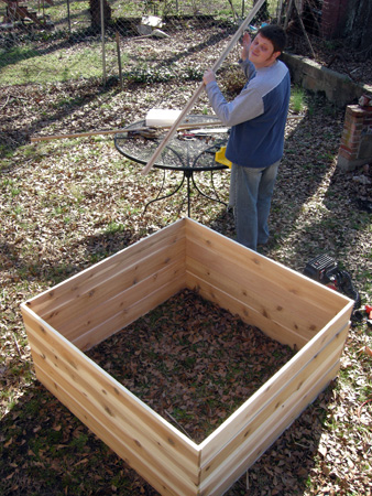 Building cedar compost