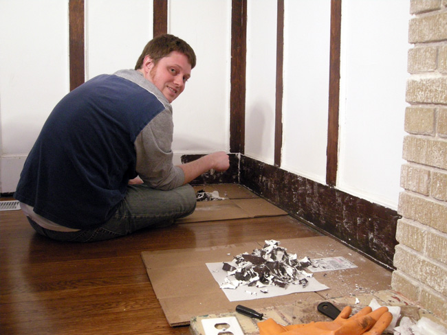 Dining room paint stripping