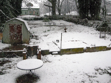 Snowed in back yard