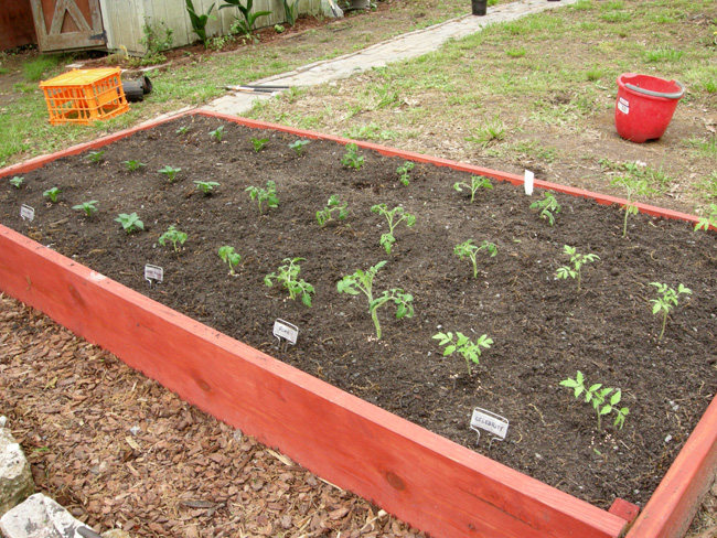 Raised garden bed