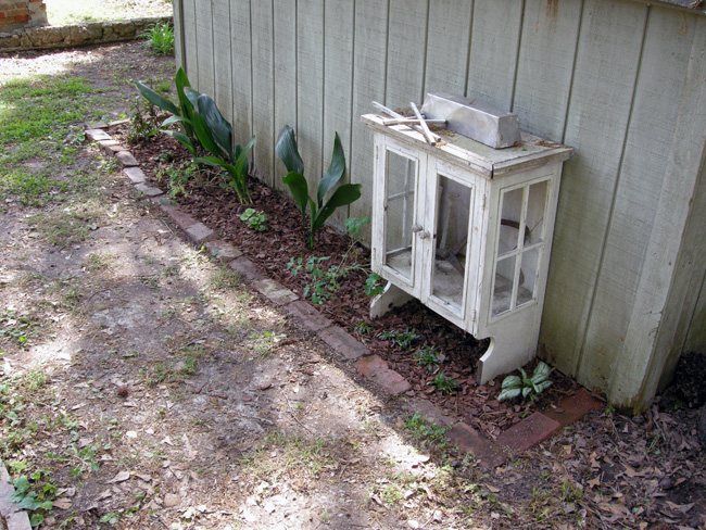 Plants by shed