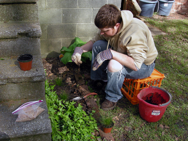 Patrick planting