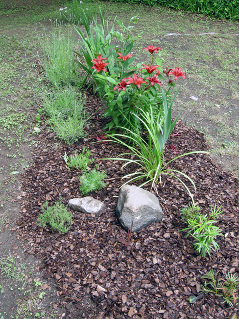 Rock accent in flower bed