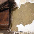 Dining room plaster walls