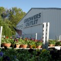 Growers Outlet