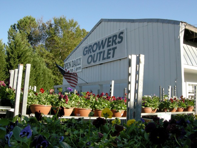 Growers Outlet