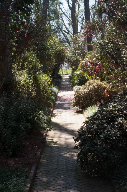 Massee Lane Gardens